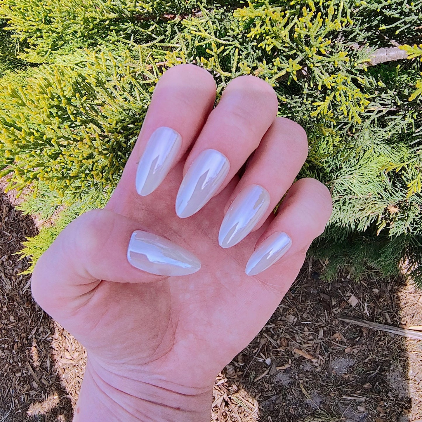 Left hand with long almond white pearl frosted nails in front of a green bush.